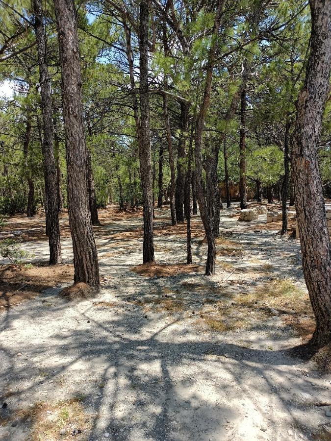 Makrýgialos Sea View Pine House 빌라 외부 사진